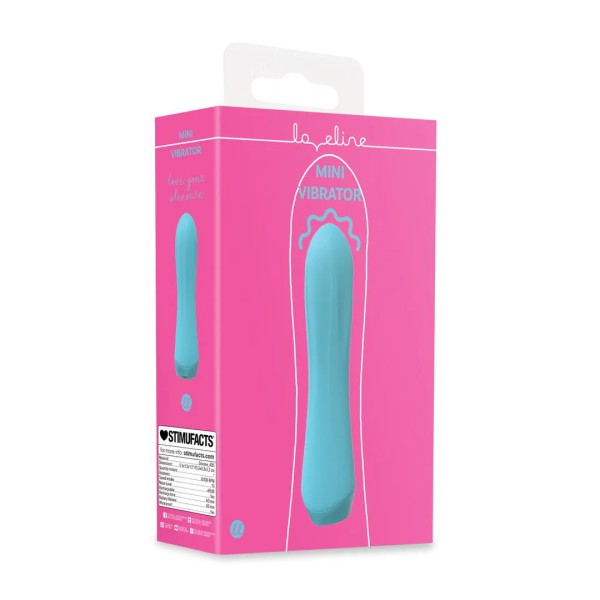 Mini Vibrator
